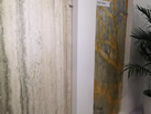 FURRER CARRARA